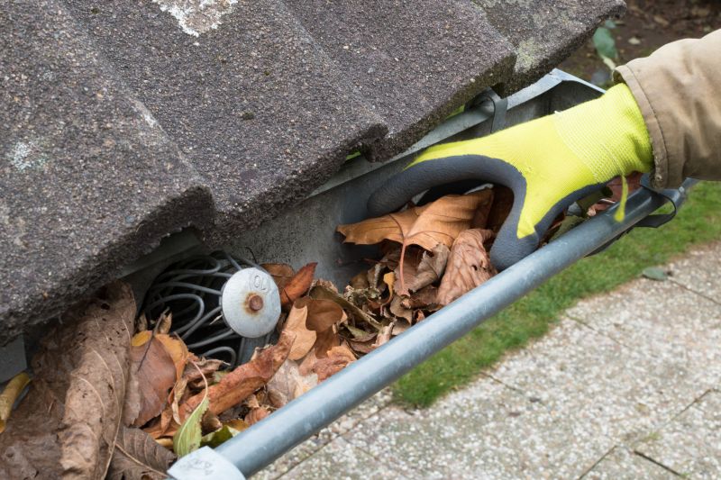 Home with Gutter Covers in El Dorado Hills